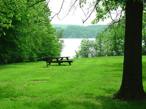 Picnic Area Lake